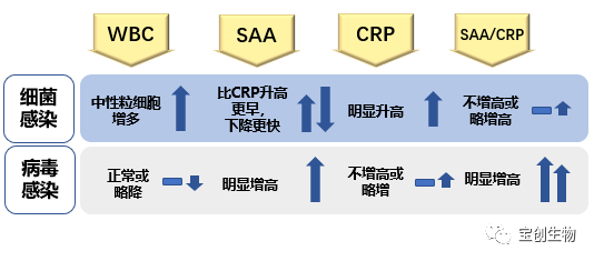 640 (1).png