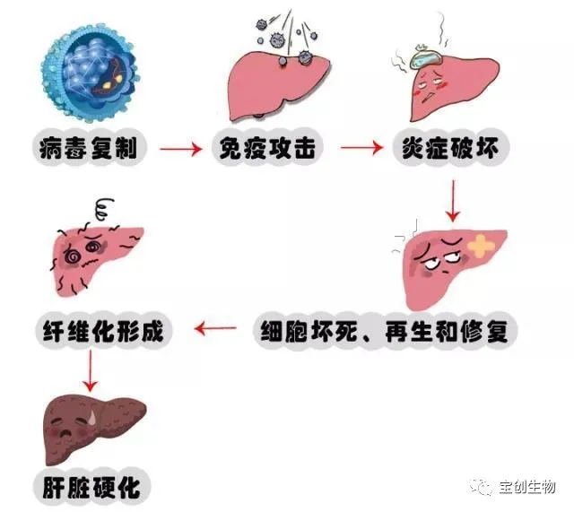 1628147062951475.jpg 640 (7)_看图王.web.jpg