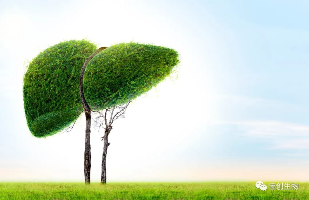 1628147092179872.jpg 640 (8)_看图王.web.jpg