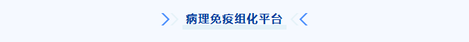 2a416ed949068f44a8e7282996ea0dd3.png