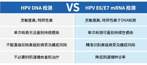 1784535483.jpg 配套试剂-15.jpg